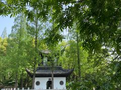 -汇龙潭