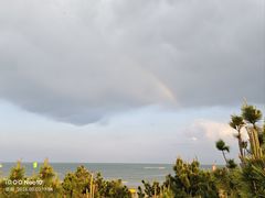 -日照海滨国家森林公园