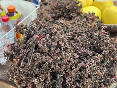 -清漾毛氏文化村