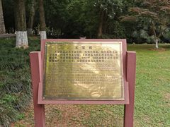 景点-灵谷景区