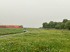 -苏州湾体育公园