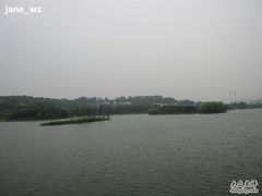 -上海市保健医疗中心(华东疗养院)