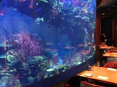 -迪拜帆船酒店海底餐厅