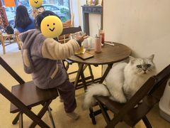 -猫友咖啡店(玉林西路店)