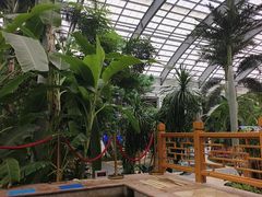 -国信南山温泉