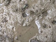 -东寨港红树林旅游区