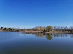 -东郊湿地公园