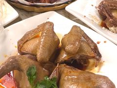 -百利鸽王(紫薇路店)