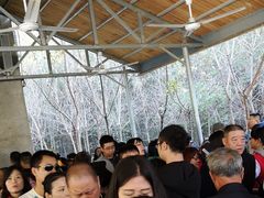-少华山国家森林公园