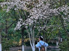 -白塘生态植物园