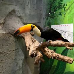 -Zoolung Zoolung动物主题公园(海信广场店)