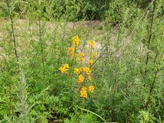 -百里峡七彩艺术小镇