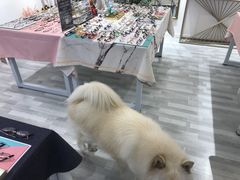 -肆兮眼镜·蔡司·徕卡战略合作店(大坪店)
