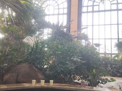 -郑州银基黄帝宫御温泉