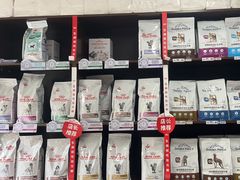 -瑞派·关忠动物医院·异宠专科·犬猫肿瘤·皮肤专科(望京店)