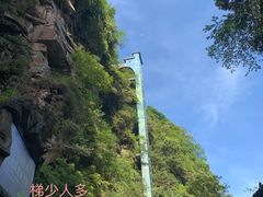 -碧峰峡风景区