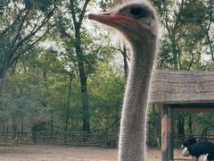 -秦皇岛野生动物园