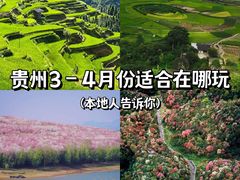 -贵州百里杜鹃风景名胜区