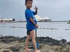 -碧海金沙