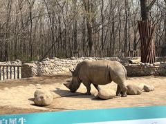 -北京野生动物园