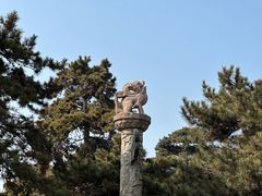 -北陵公园