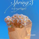 阳光短暂地露了个面 分享我和天空的合影