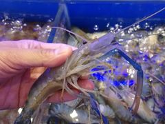 -澜悦港海鲜体验主题餐厅