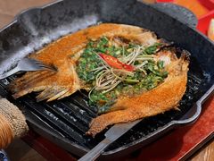 -雀舞云南菜(天津天河城购物中心店)