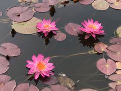 -国家植物园南园