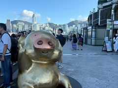 -星光大道