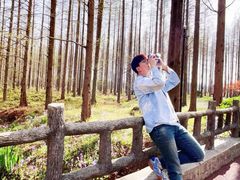 -黄海国家森林公园