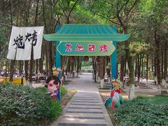 -白马涧龙池景区
