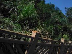 -神光山国家森林公园