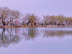 -颐和园