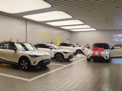 -上海浦东smart汽车全功能店(金桥店)