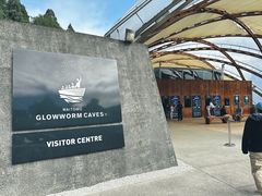 -怀托摩萤火虫洞