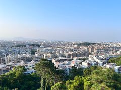 -仙岳公园