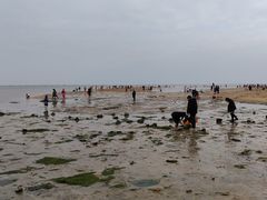 -北海金海湾红树林生态旅游区