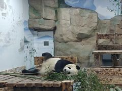-无锡动物园·太湖欢乐园