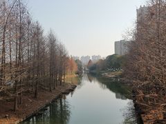 -昆山城市生态森林公园