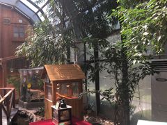 -上海大自然野生昆虫馆(东方明珠·爬宠昆虫探索中心)