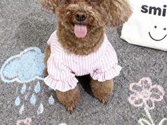 -峨嵋酒家(地安门店)