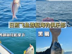 -日照海滨国家森林公园