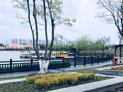 -上海长兴岛郊野公园