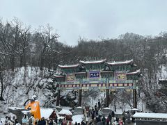 -老君山风景名胜区