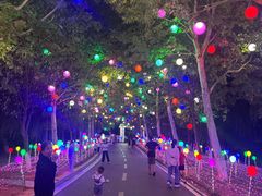 -洋湖国家湿地公园