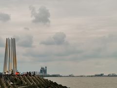 -上海滨江森林公园