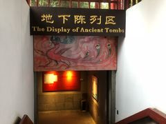 -洛阳古墓博物馆