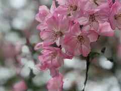 -青龙山国家森林公园
