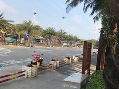 -万绿园